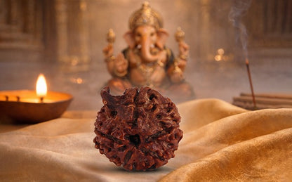 Ganesh Rudraksha