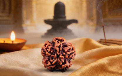 Nepali 1 Mukhi Rudraksha