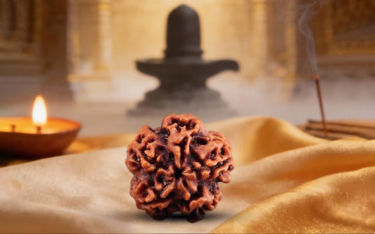 Nepali 1 Mukhi Rudraksha