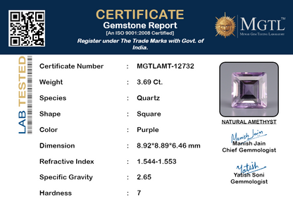 Amethyst - 3.69 Carats