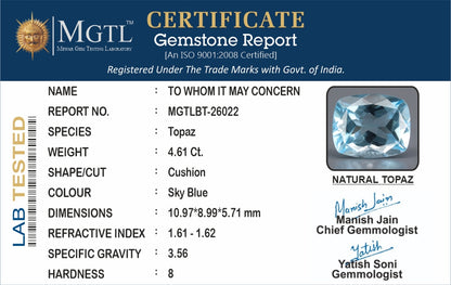 Blue Topaz - 4.61 Carats