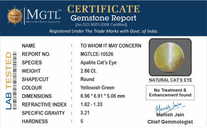 Cat's Eye - 2.66 Carats (Lahsuniya - 2.90 Ratti)