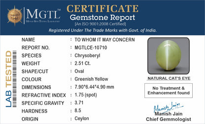 Cat's Eye - 2.51 Carats (Lahsuniya - 2.74 Ratti)