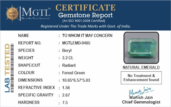 Emerald (Panna) - 3.20 Carats