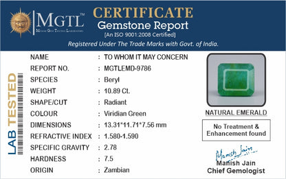 Emerald (Panna) - 10.89 Carats