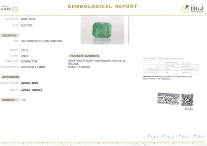 Emerald (Panna) - 3.51 Carats