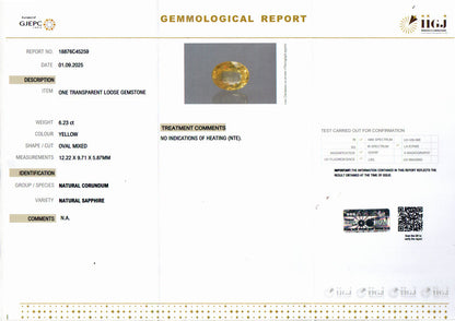 Yellow Sapphire (Pukhraj) Gemstone - 6.23 Carats