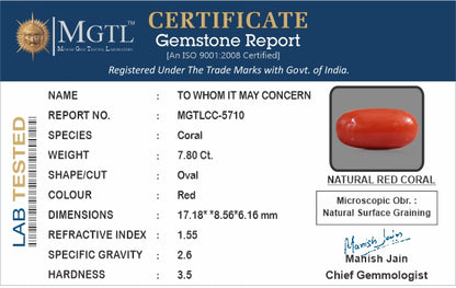 Red Coral (Moonga) - 7.80 Carats