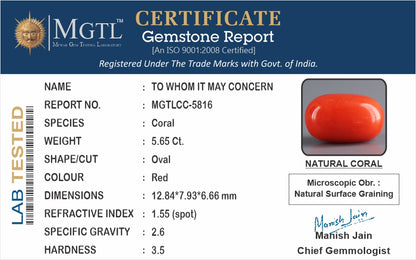 Red Coral (Moonga) - 5.65 Carats