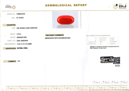 Red Coral (Moonga) - 5.70 Carats