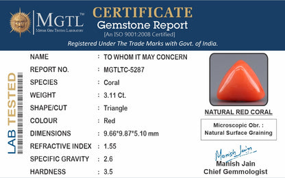 Red Coral (Moonga) - 3.11 Carats