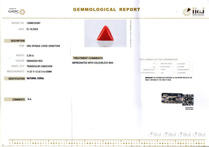 Red Coral (Moonga) - 5.29 Carats