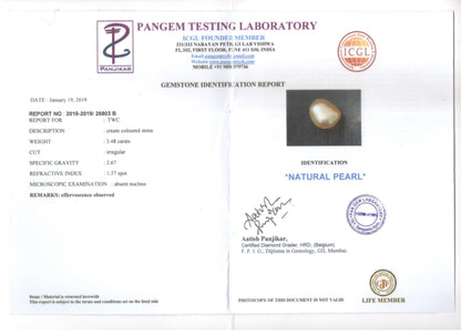 Venezuela Pearl - 3.48 Carats (Moti - 3.79 Ratti)