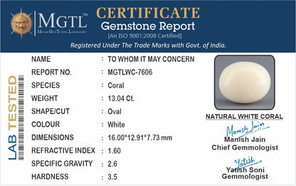 White Coral - 13.04 Carats