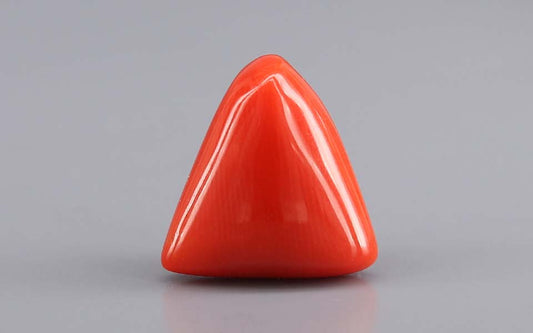 Red Coral (Moonga) Gemstone - 11.05 Carats