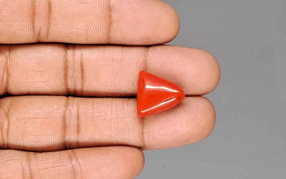 Red Coral (Moonga) Gemstone - 11.05 Carats