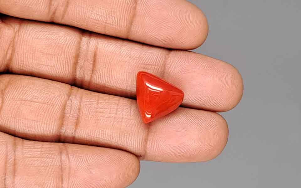 Red Coral (Moonga) Gemstone - 11.52 Carats