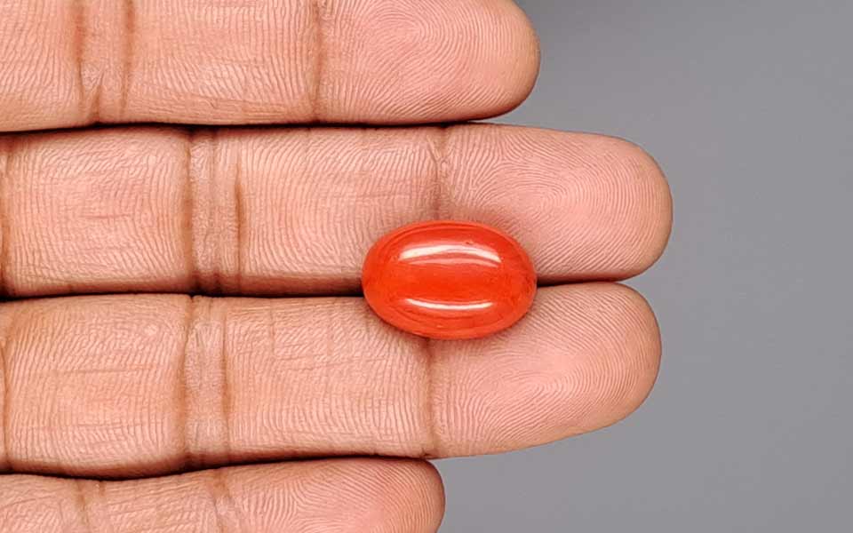 Red Coral (Moonga) Gemstone - 12.29 Carats