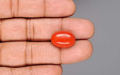 Red Coral (Moonga) Gemstone - 12.29 Carats