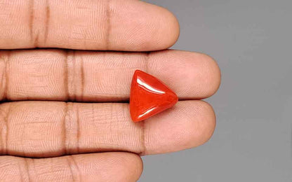 Red Coral (Moonga) Gemstone - 13.30 Carats