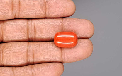 Red Coral (Moonga) Gemstone - 13.87 Carats