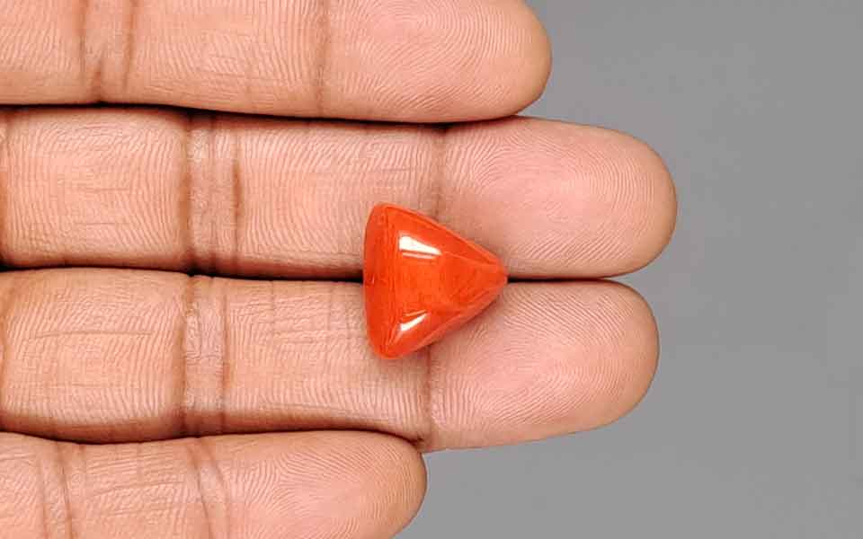Red Coral (Moonga) Gemstone - 15.30 Carats