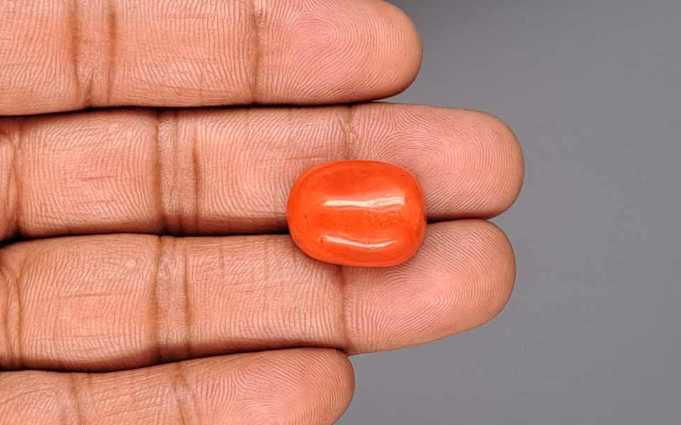 Red Coral (Moonga) Gemstone - 17.49 Carats