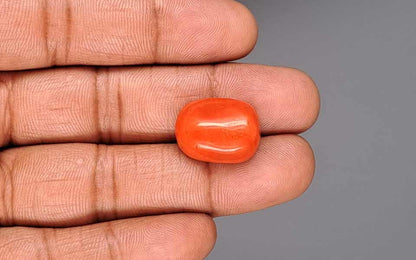 Red Coral (Moonga) Gemstone - 17.49 Carats