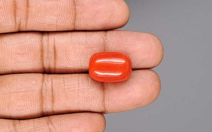 Red Coral (Moonga) Gemstone - 18.48 Carats