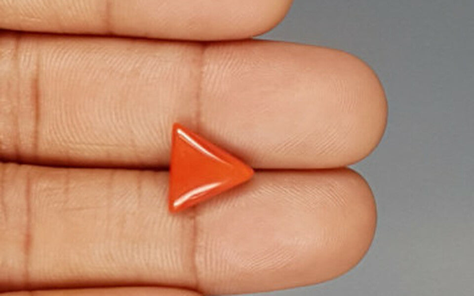 Red Coral (Moonga) Gemstone - 3.25 Carats