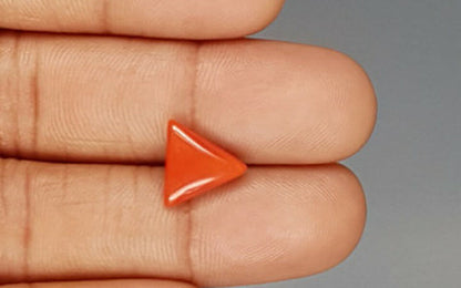 Red Coral (Moonga) Gemstone - 3.25 Carats