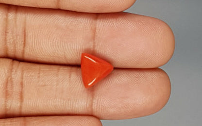 Red Coral (Moonga) Gemstone - 3.28 Carats