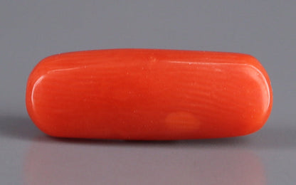 Red Coral (Moonga) Gemstone - 3.40 Carats