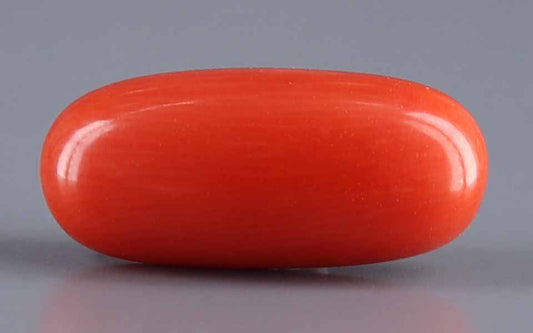 Red Coral (Moonga) Gemstone - 6.00 Carats