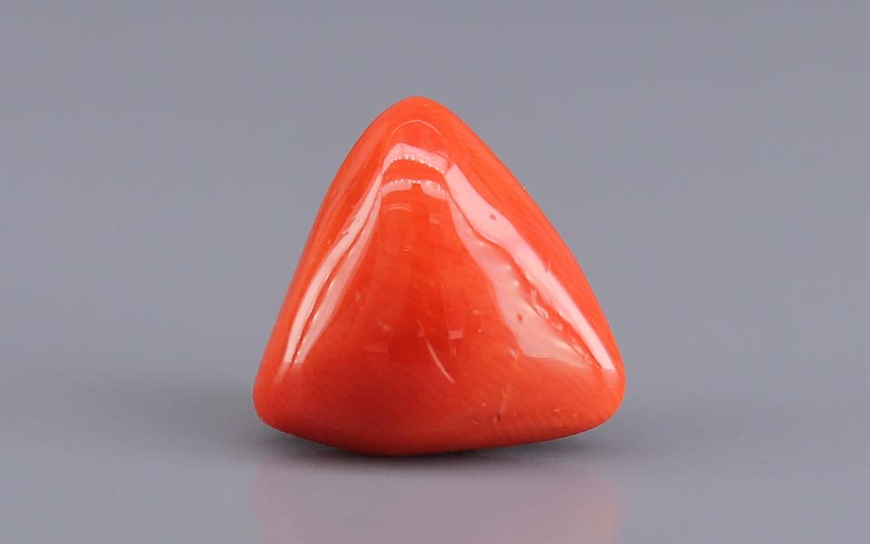 Red Coral (Moonga) Gemstone - 7.06 Carats