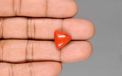 Red Coral (Moonga) Gemstone - 7.06 Carats