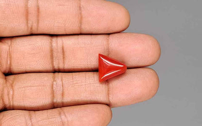 Red Coral (Moonga) Gemstone - 7.08 Carats