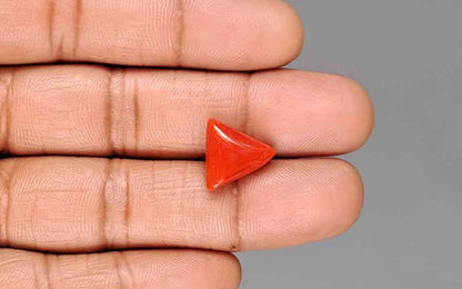 Red Coral (Moonga) Gemstone - 7.28 Carats