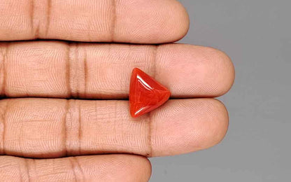 Red Coral (Moonga) Gemstone - 7.68 Carats