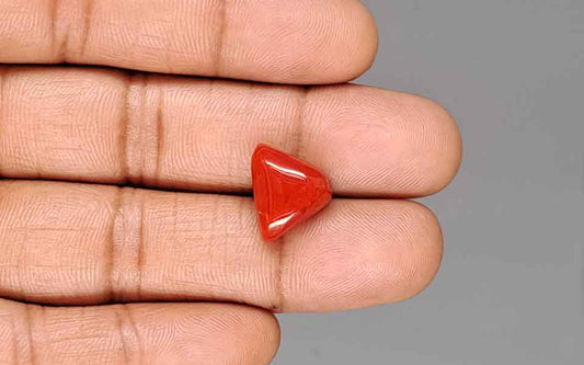 Red Coral (Moonga) Gemstone - 7.73 Carats
