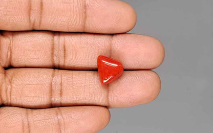 Red Coral (Moonga) Gemstone - 8.17 Carats