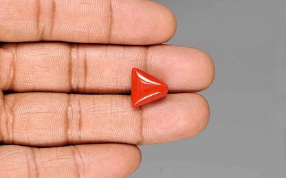 Red Coral (Moonga) Gemstone - 8.19 Carats