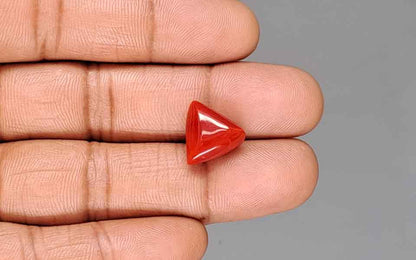 Red Coral (Moonga) Gemstone - 8.64 Carats