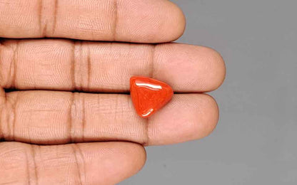 Red Coral (Moonga) Gemstone - 8.84 Carats