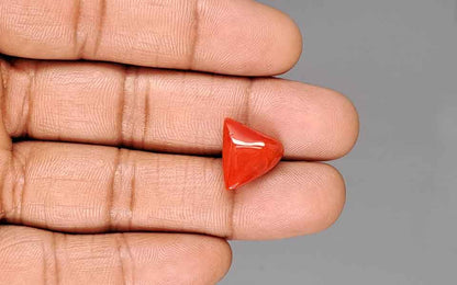 Red Coral (Moonga) Gemstone - 8.90 Carats