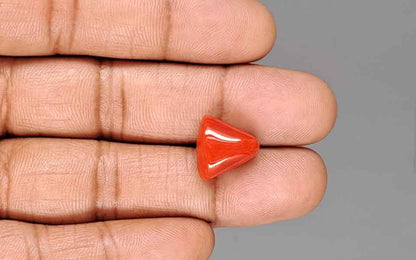 Red Coral (Moonga) Gemstone - 9.25 Carats