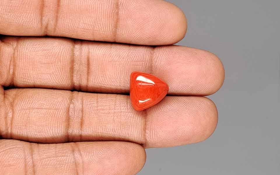 Red Coral (Moonga) Gemstone - 9.48 Carats