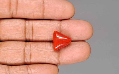Red Coral (Moonga) Gemstone - 9.81 Carats