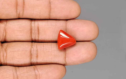 Red Coral (Moonga) Gemstone - 9.98 Carats