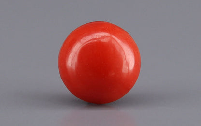 Red Coral (Moonga) Gemstone - 2.31 Carats
